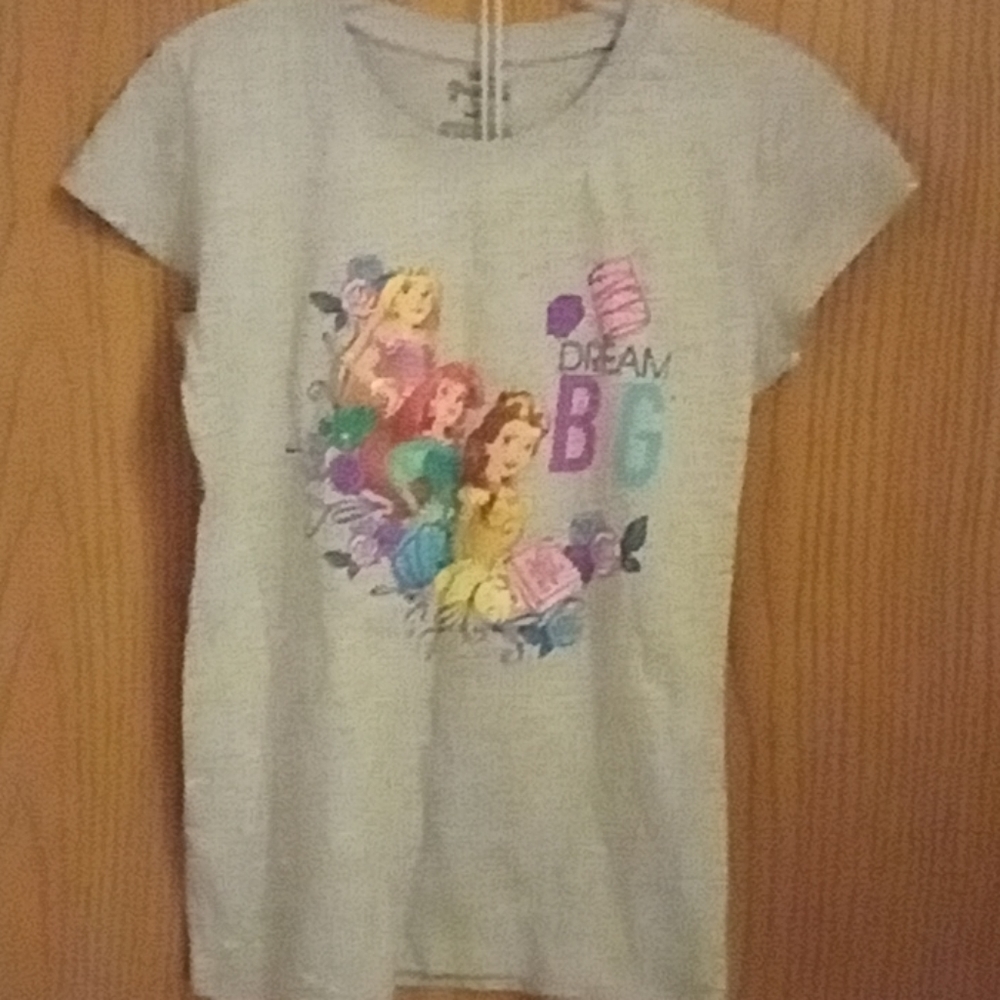 COPY - DISNEY princess grey shirt large(6x)